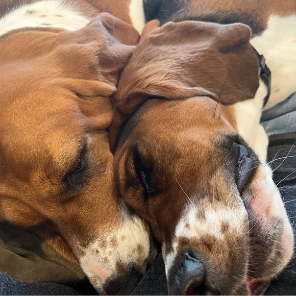 Meet your Posher, Sally - Picture 9 of 9